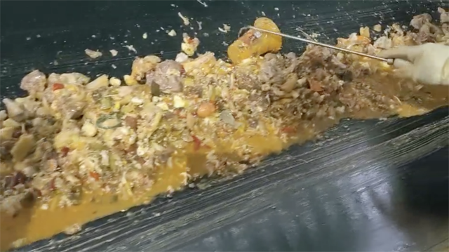 工艺改良前工人在餐厨垃圾输送线上挑选杂质 工艺改良前工人在餐厨垃圾输送线上挑选杂质