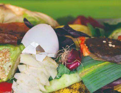 餐厨垃圾处理机3.png 餐厨垃圾处理机3.png